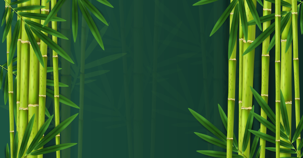 Lucky Bamboo Plant Benefits: Useful Vastu and Feng Shui Tips for Your Home